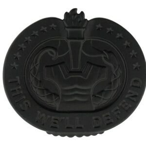 U.S. Army Drill Sergeant DS Identification Badge Black Subdued NEW WITHOUT TAG